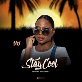 Stay Cool artwork