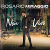 non vivo - Single