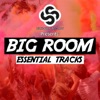 Seriously Records Presents: Big Room (Essential Tracks), 2019