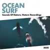 Ocean Surf album lyrics, reviews, download
