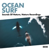 Sounds Of Nature - Ocean Surf (Original Mix)