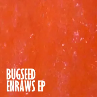 ladda ner album Bugseed - Enraws EP