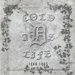 Cold as Life V2 Song Lyrics