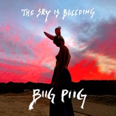 The Sky Is Bleeding - EP artwork