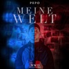 Meine Welt - Single