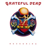 Grateful Dead - The Race Is On (Live)