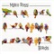 Birds (feat. Eric Marienthal, Mike Miller, Vernon Porter & Bruce Boulanger) artwork