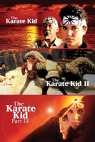 Sony Pictures Entertainment - Karate Kid Trilogy artwork