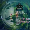 The Dandy Selects, Vol. 14