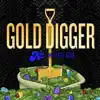 Gold Digger (feat. Dess Dior) - Single album lyrics, reviews, download