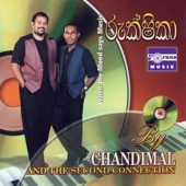 Rukshika (feat. Chandana Fernando & Ayesha Gunasekara) artwork
