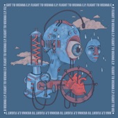 The Flight to Vienna (Mandidextrous D&B Fluc Mix) artwork