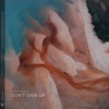 Don’t Give Up - Single