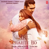 Dil Chahte Ho artwork