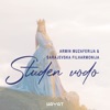 Studen Vodo - Single