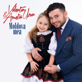 Moldova Mea - Valentin Uzun