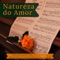 Som Inesquecível para o Dia de São Valentim - Musicas Romanticas Piano Guru lyrics