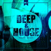 Deep & House (Groovy Bar Tunes), Vol. 1 artwork