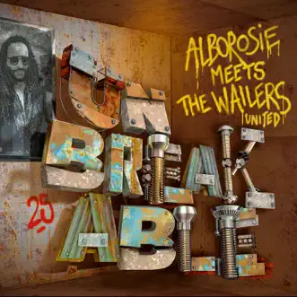 Contradiction (feat. Chronixx) by Alborosie song reviws