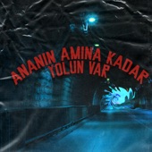 Ananın Amına Kadar Yolun Var artwork