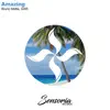 Amazing - Single album lyrics, reviews, download