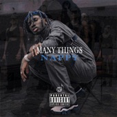 Many Things artwork