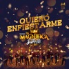 Quiero Enfiestarme - Single
