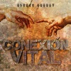 Conexión Vital, 2020