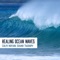 Healing Ocean Waves - Calming Waters Consort lyrics