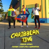 Caribbean Ting (Carnival Anthem) artwork