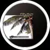 Palmtree album lyrics, reviews, download