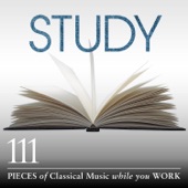 Franz Liszt - 3 Etudes de Concert, S.144: No. 3 in D Flat "Un sospiro" (Allegro affettuoso)
