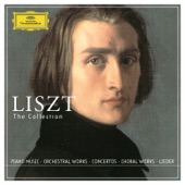 Liszt: The Collection artwork
