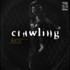 Cappelli - Crawling