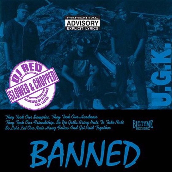 Cover artwork for Pregnant Pussy