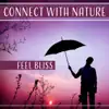 Connect with Nature: Feel Bliss – Gentle Soothing Sounds for Deep Sleep, Rest, Walk, Spirit Meditation, Anti Stress album lyrics, reviews, download