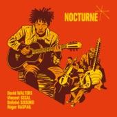 Nocturne (feat. Vincent Ségal, Ballaké Sissoko & Roger Raspail) artwork