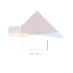 Felt (Special Edition) by Nils Frahm album reviews, ratings, credits