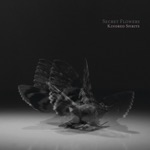 Kindred Spirits - Single