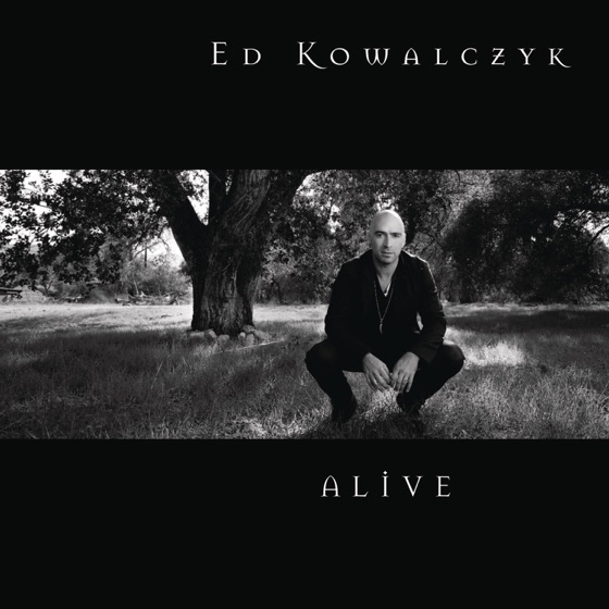 Cover artwork for Stand