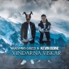 VINDARNA VISKAR - Single