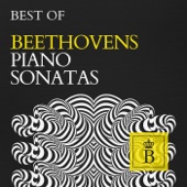 Piano Sonata No. 13 in E-Flat Major, Op. 27 No. 1 "Quasi una fantasia": II. Allegro molto e vivace artwork
