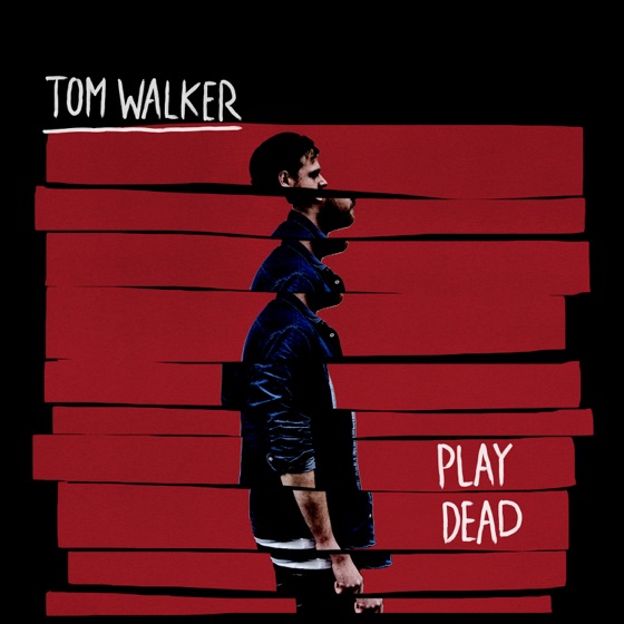 Cover artwork for Play Dead