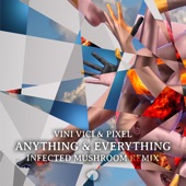 Anything & Everything (Infected Mushroom Remix) artwork