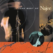 Najee - Can't Hide Love