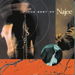 Najee's Theme Song Lyrics