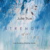 Strength of My Life (Live) - Julie True