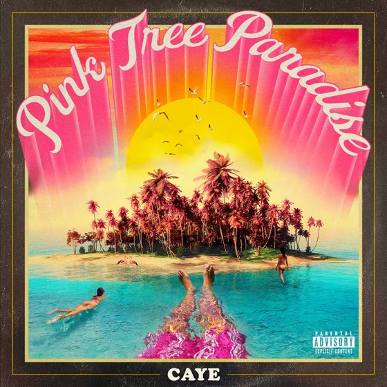 Cover artwork for PinkTree