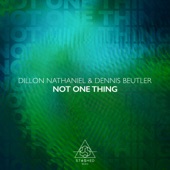 Not One Thing (Extended Mix) artwork