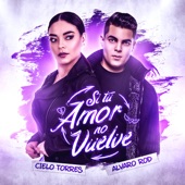 Si Tu Amor No Vuelve artwork